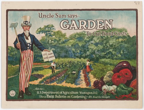Poster, "Uncle Sam Says-Garden To Cut Food Costs" circa 1925 Record Group 287 Still Pictures Identifier: 287-PA1.32:G16 ARC Identifier: 541773 Rediscovery Identifier: 13168